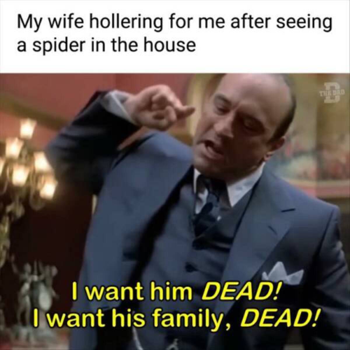 photo caption - My wife hollering for me after seeing a spider in the house I want him Dead! I want his family, Dead! The Dad