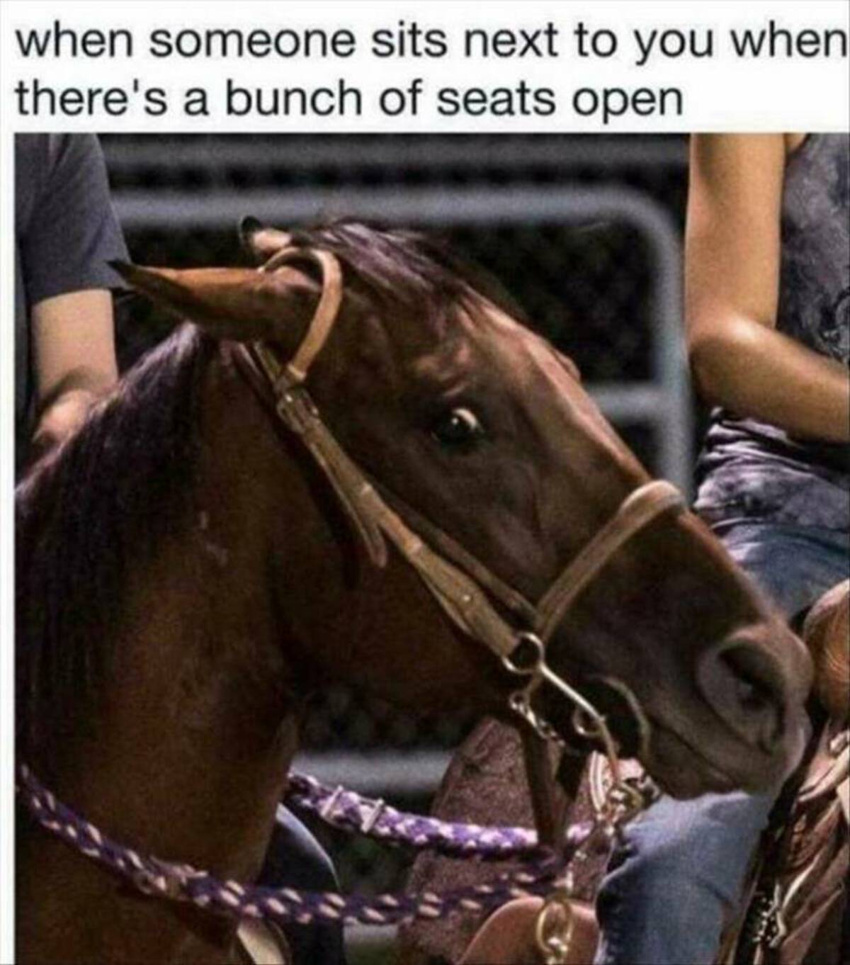 bridle - when someone sits next to you when there's a bunch of seats open