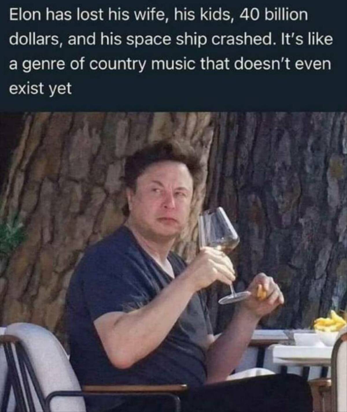 photo caption - Elon has lost his wife, his kids, 40 billion dollars, and his space ship crashed. It's a genre of country music that doesn't even exist yet