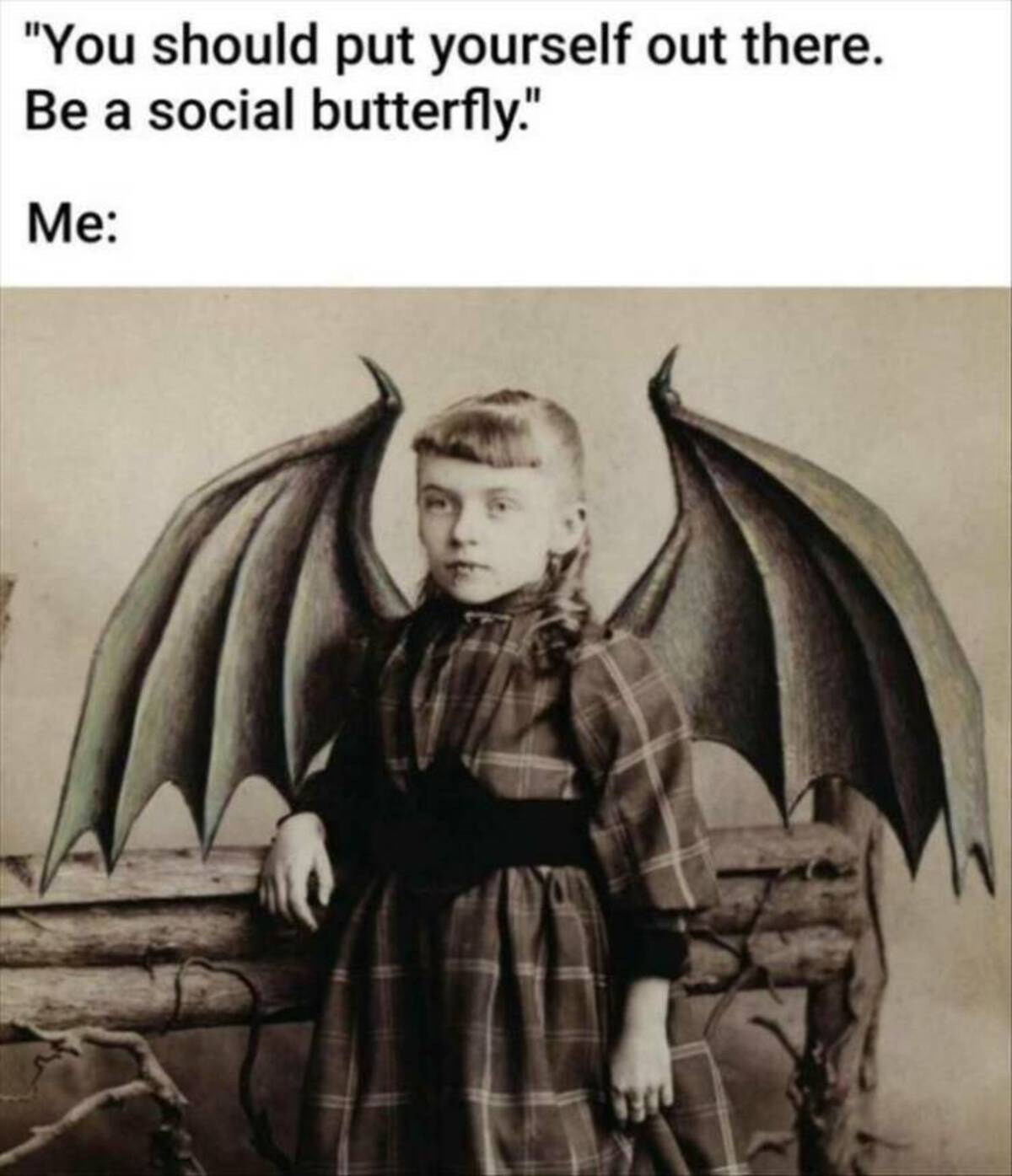 supernatural creature - "You should put yourself out there. Be a social butterfly." Me