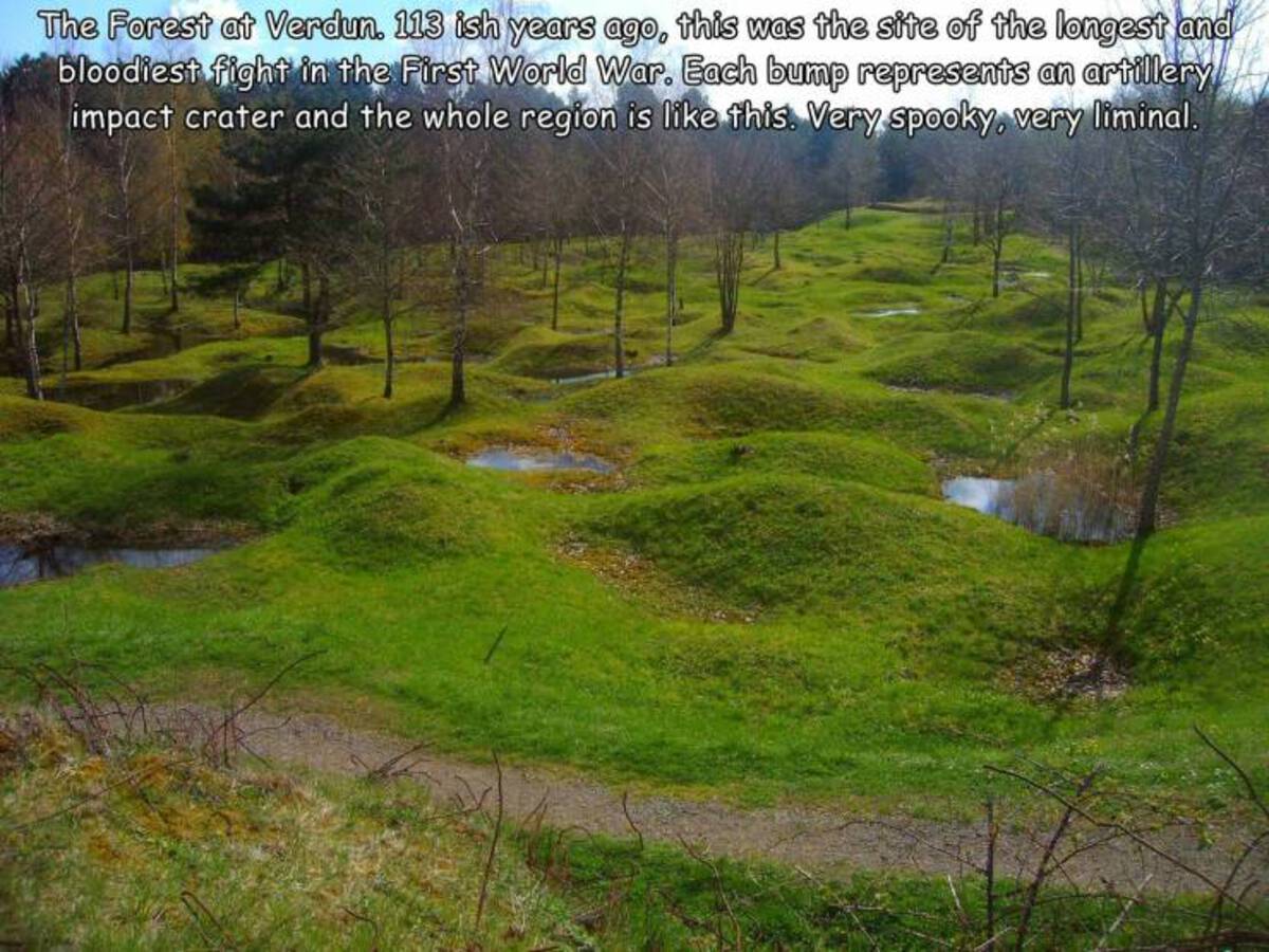land after world war 1 - The Forest at Verdun. 113 ish years ago, this was the site of the longest and bloodiest fight in the First World War. Each bump represents an artillery impact crater and the whole region is this. Very spooky, very liminal.