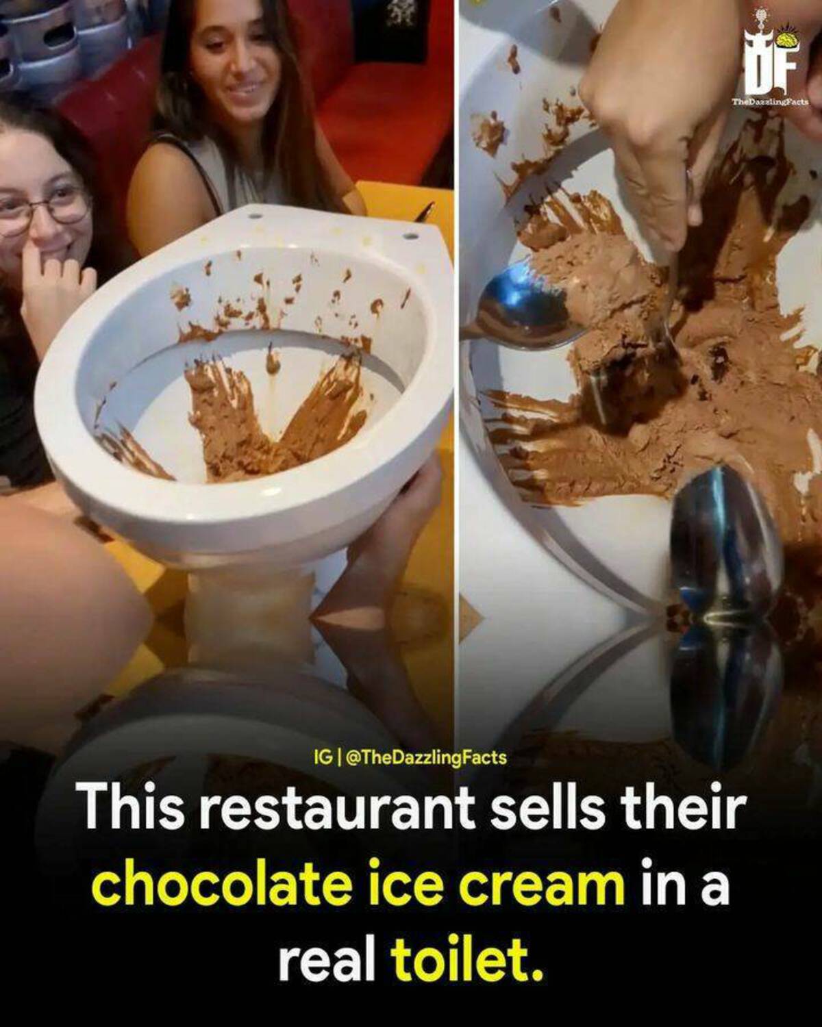 ice cream in toilet bowl - Of The DazzlingFacts Ig Facts This restaurant sells their chocolate ice cream in a real toilet.