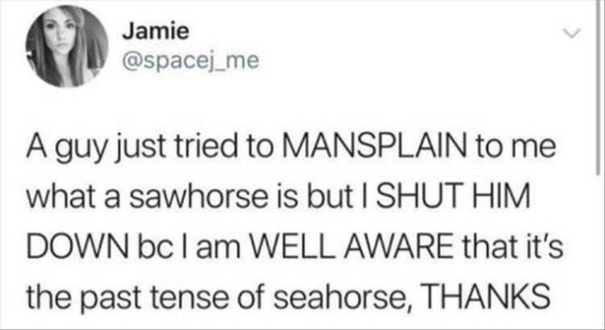 screenshot - Jamie A guy just tried to Mansplain to me what a sawhorse is but I Shut Him Down bc I am Well Aware that it's the past tense of seahorse, Thanks