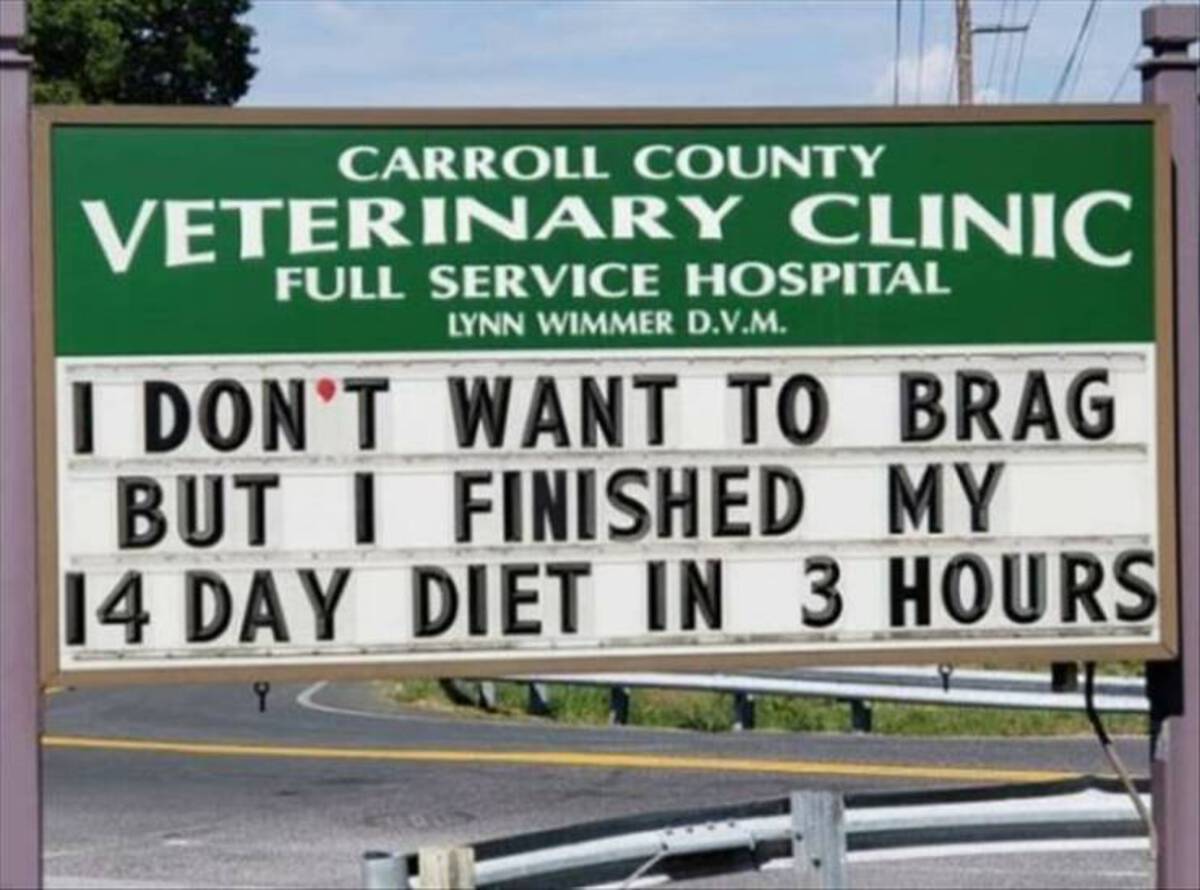 veterinary billboard sign - Carroll County Veterinary Clinic Full Service Hospital Lynn Wimmer D.V.M. I Don'T Want To Brag But I Finished My 14 Day Diet In 3 Hours