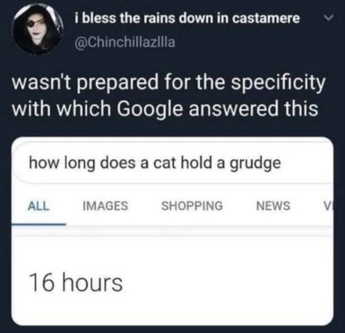 screenshot - i bless the rains down in castamere wasn't prepared for the specificity with which Google answered this how long does a cat hold a grudge All Images 16 hours Shopping News V