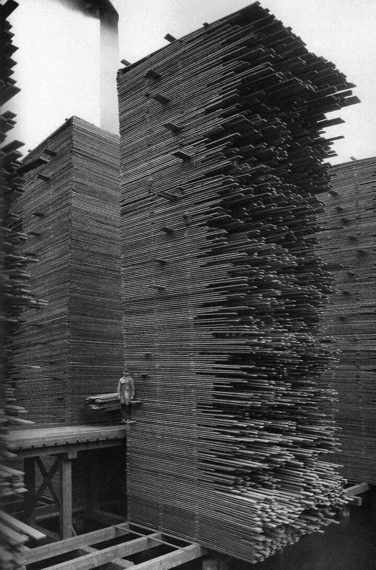 stacks of lumber drying seattle 1919