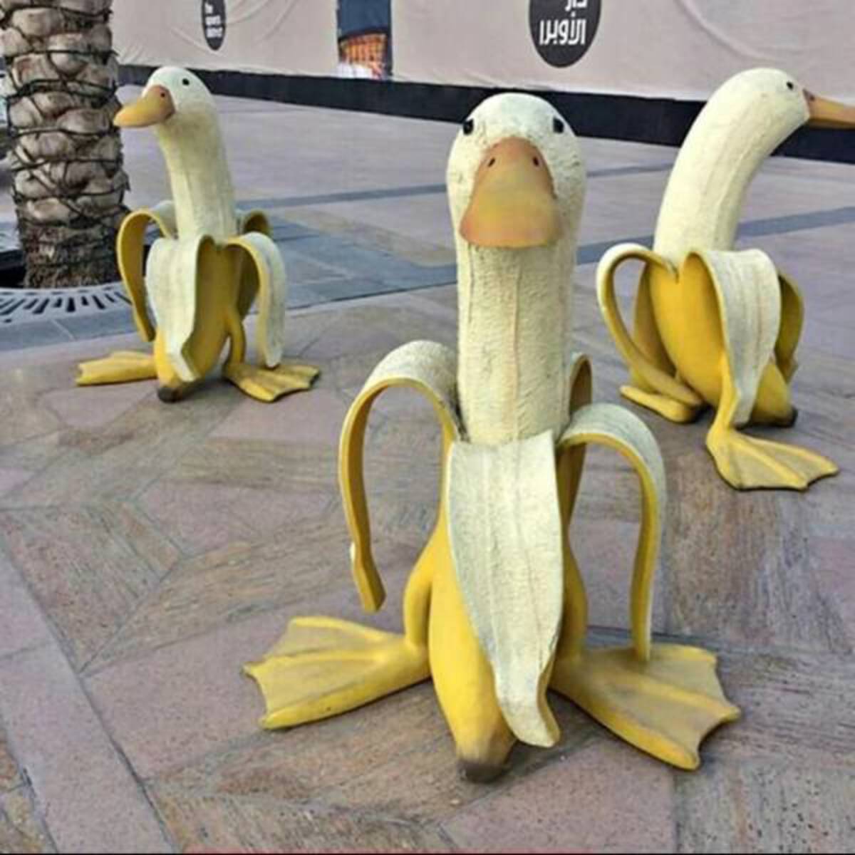 banana ducks