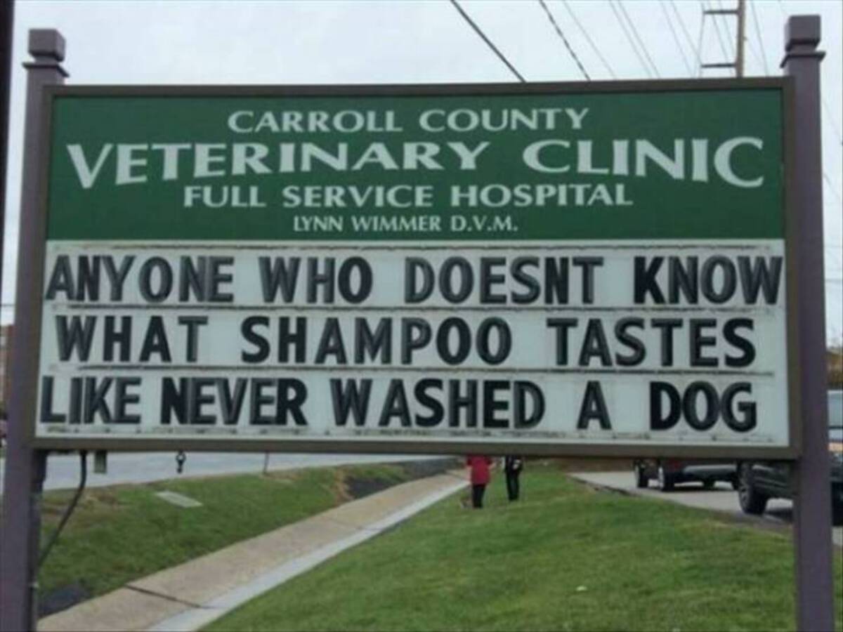 street sign - Carroll County Veterinary Clinic Full Service Hospital Lynn Wimmer D.V.M. Anyone Who Doesnt Know What Shampoo Tastes Never Washed A Dog