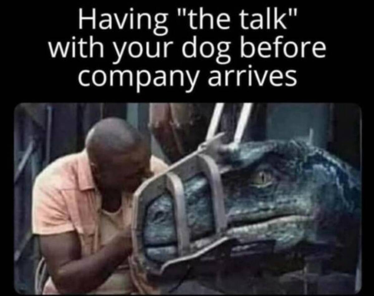 photo caption - Having "the talk" with your dog before company arrives