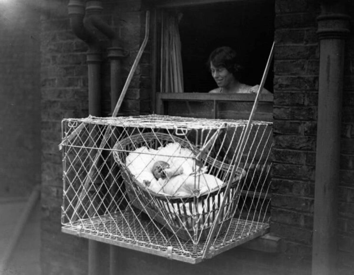 baby window cage