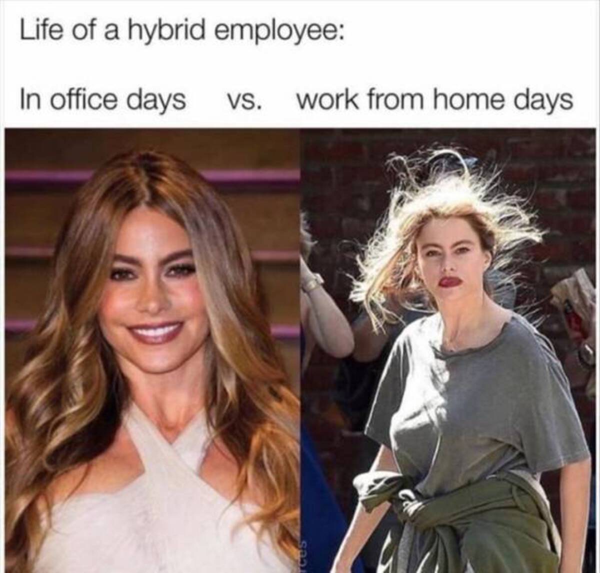 dr justin saliman sofia vergara - Life of a hybrid employee In office days Vs. work from home days