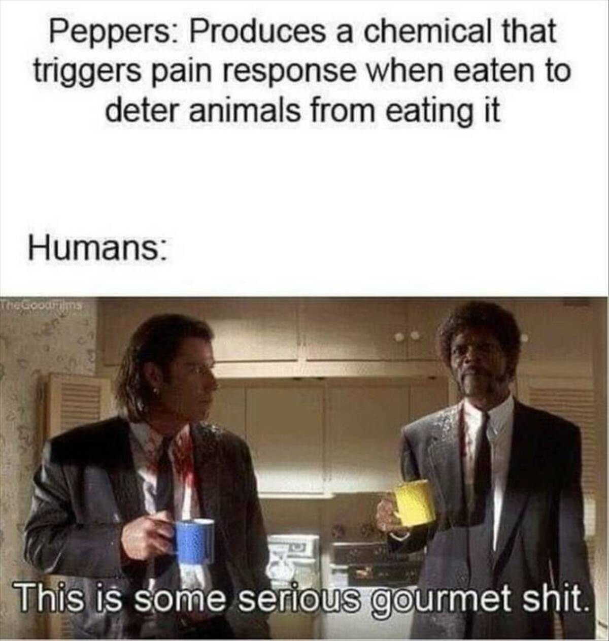 some serious gourmet - Peppers Produces a chemical that triggers pain response when eaten to deter animals from eating it Humans The GoodFilms This is some serious gourmet shit.