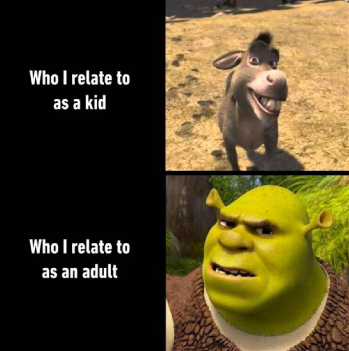 relatable shrek memes - Who I relate to as a kid Who I relate to as an adult