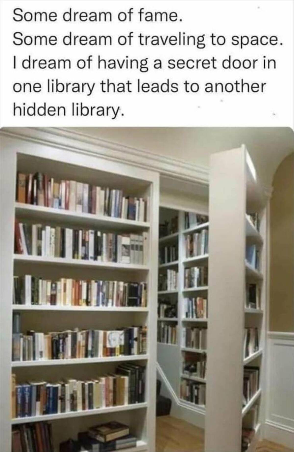 Some dream of fame. Some dream of traveling to space. I dream of having a secret door in one library that leads to another hidden library. Jest