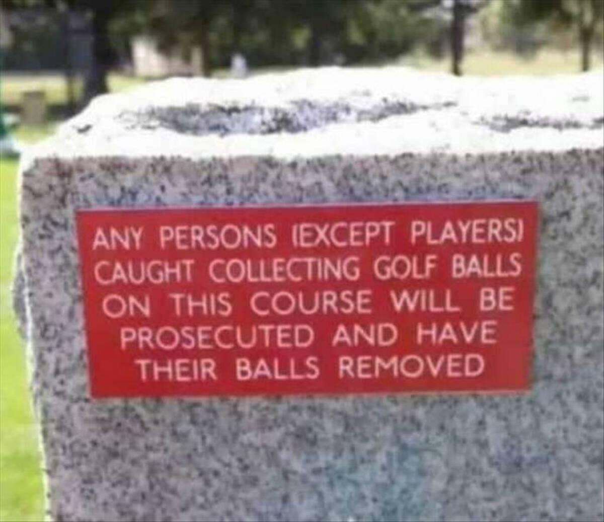 things that escalated quickly - Any Persons Except Players Caught Collecting Golf Balls On This Course Will Be Prosecuted And Have Their Balls Removed