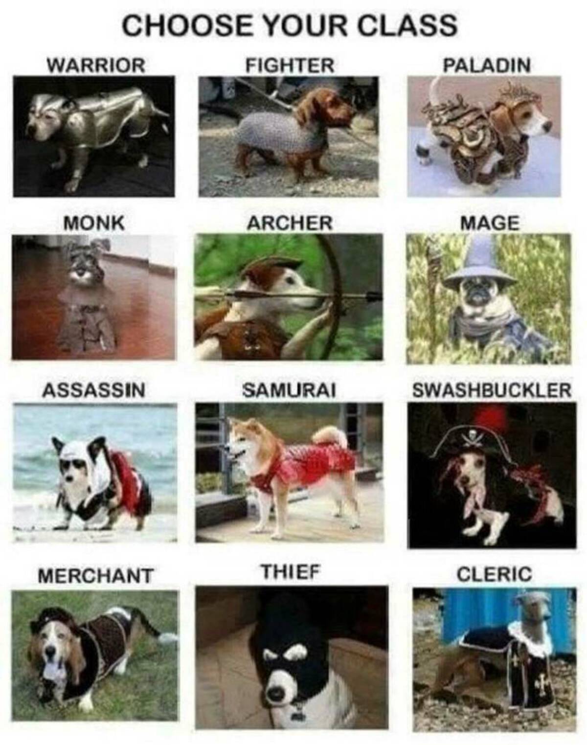 dungeon dogs memes - Choose Your Class Warrior Fighter Paladin Monk Archer Mage Assassin Samurai Swashbuckler Merchant Thief Cleric