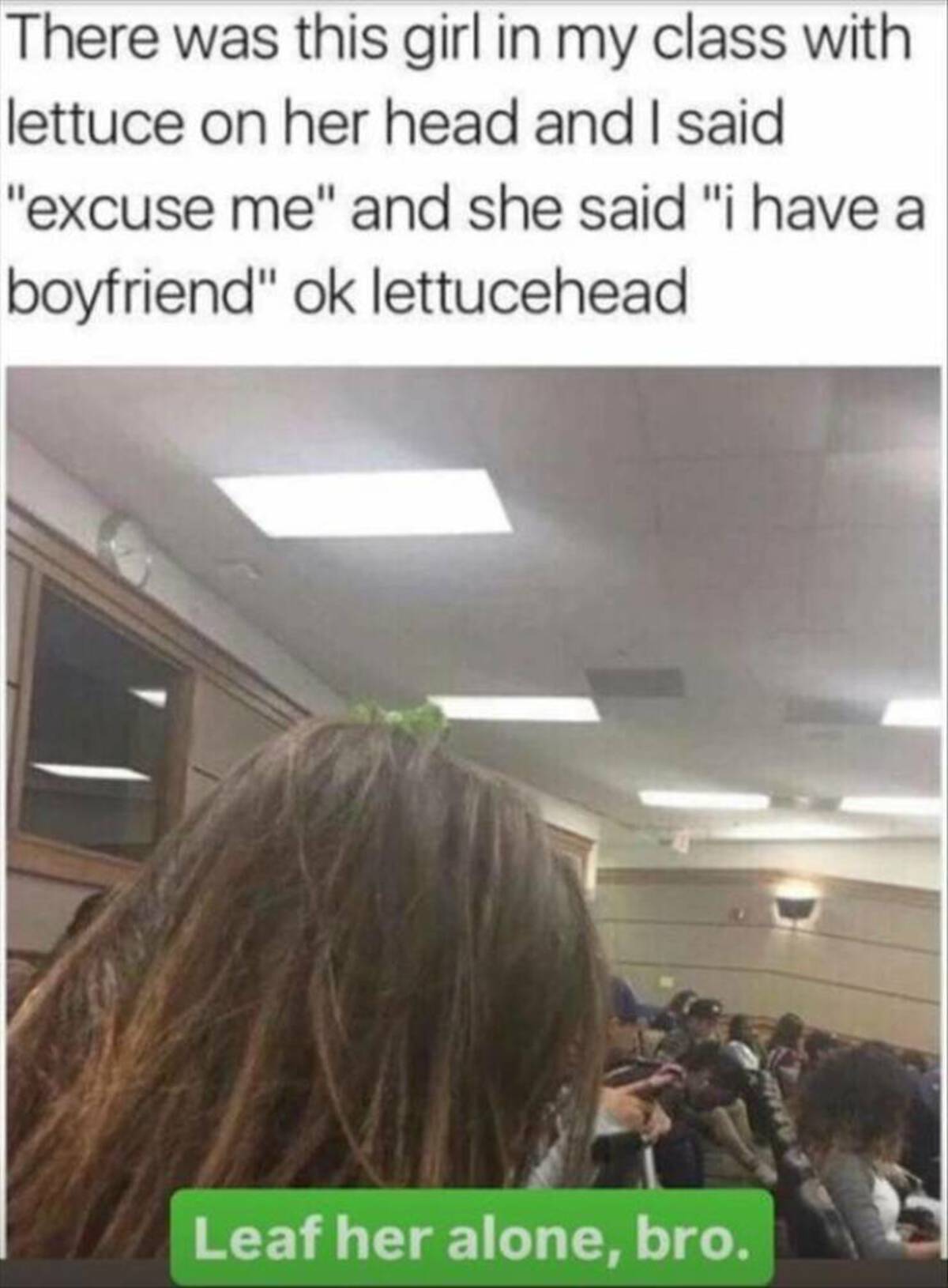 okay lettuce head meme - There was this girl in my class with lettuce on her head and I said "excuse me" and she said "i have a boyfriend" ok lettucehead. Leaf her alone, bro.