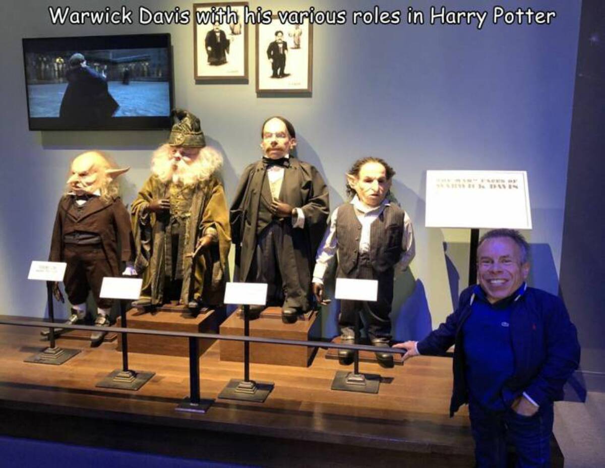 warwick davis harry potter characters - Warwick Davis with his various roles in Harry Potter The Win" Faven Of Aws Davis