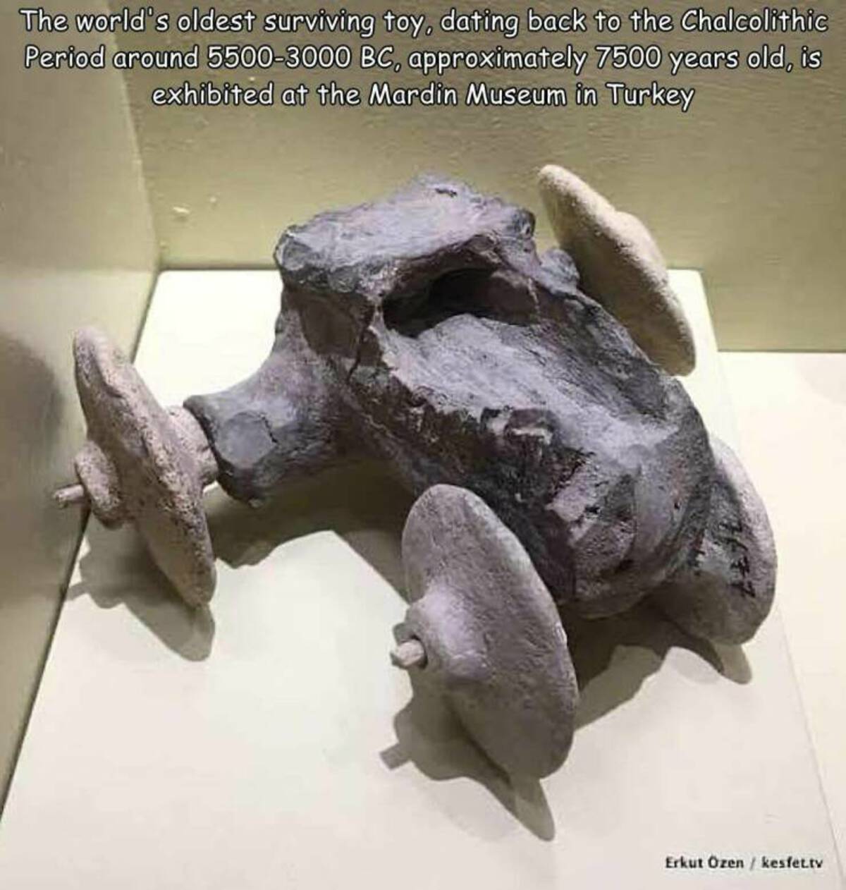 leatherback sea turtle - The world's oldest surviving toy, dating back to the Chalcolithic Period around 55003000 Bc, approximately 7500 years old, is exhibited at the Mardin Museum in Turkey Erkut zenkesfet.tv