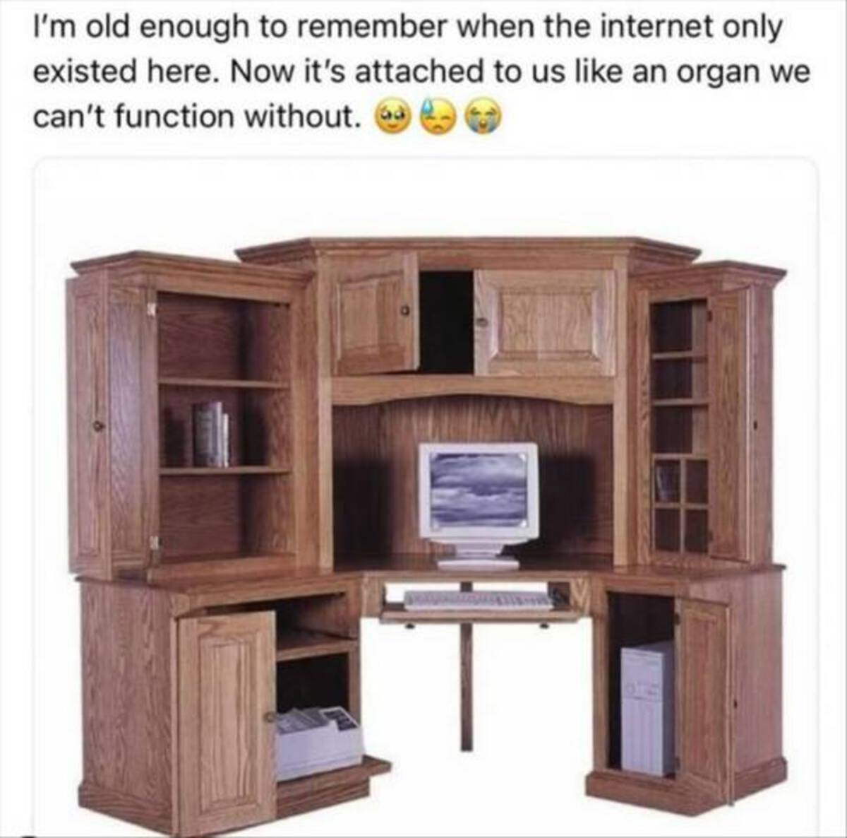 Internet meme - I'm old enough to remember when the internet only existed here. Now it's attached to us an organ we can't function without. 63