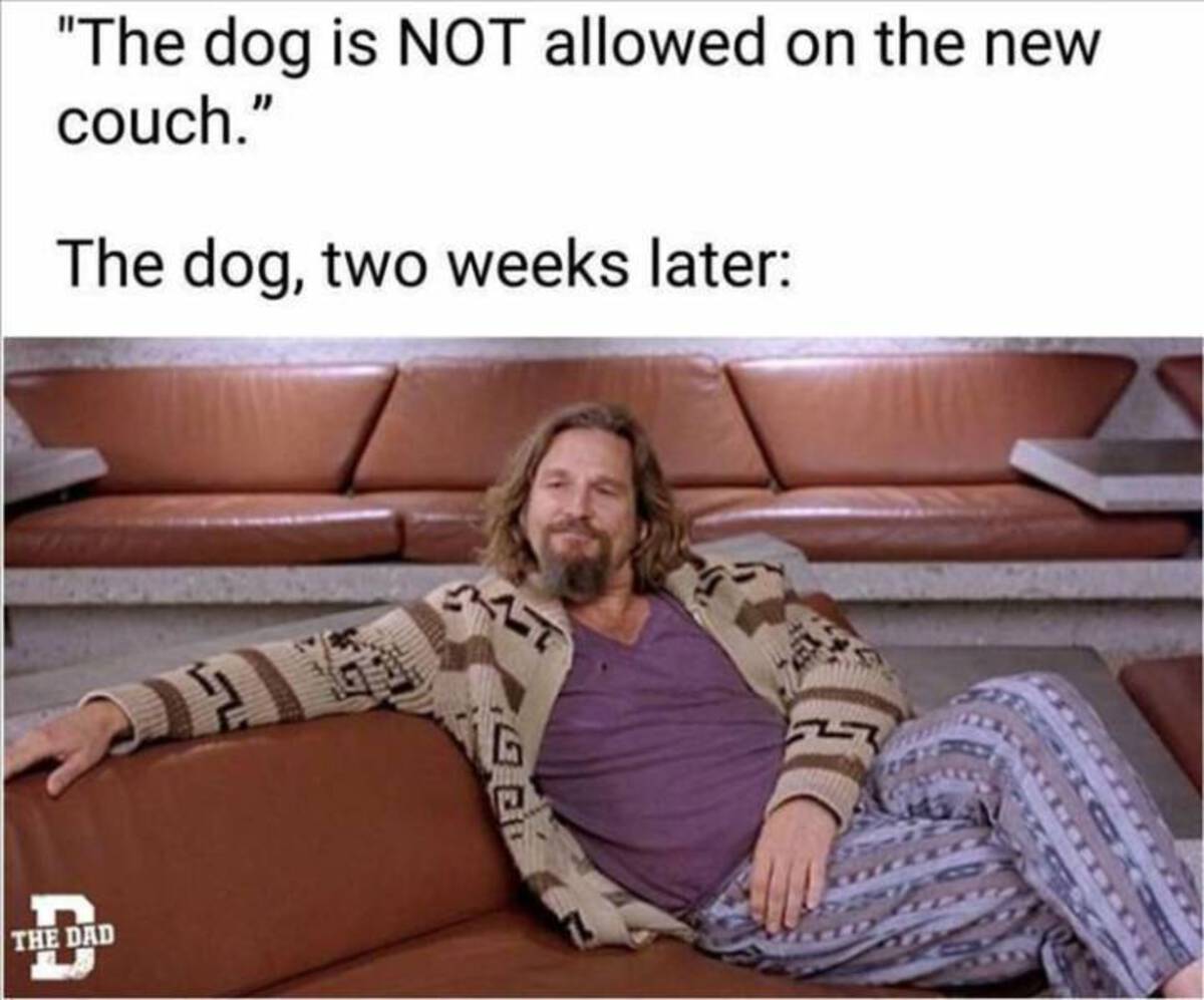 big lebowski - "The dog is Not allowed on the new couch." The dog, two weeks later The Dad Aft G