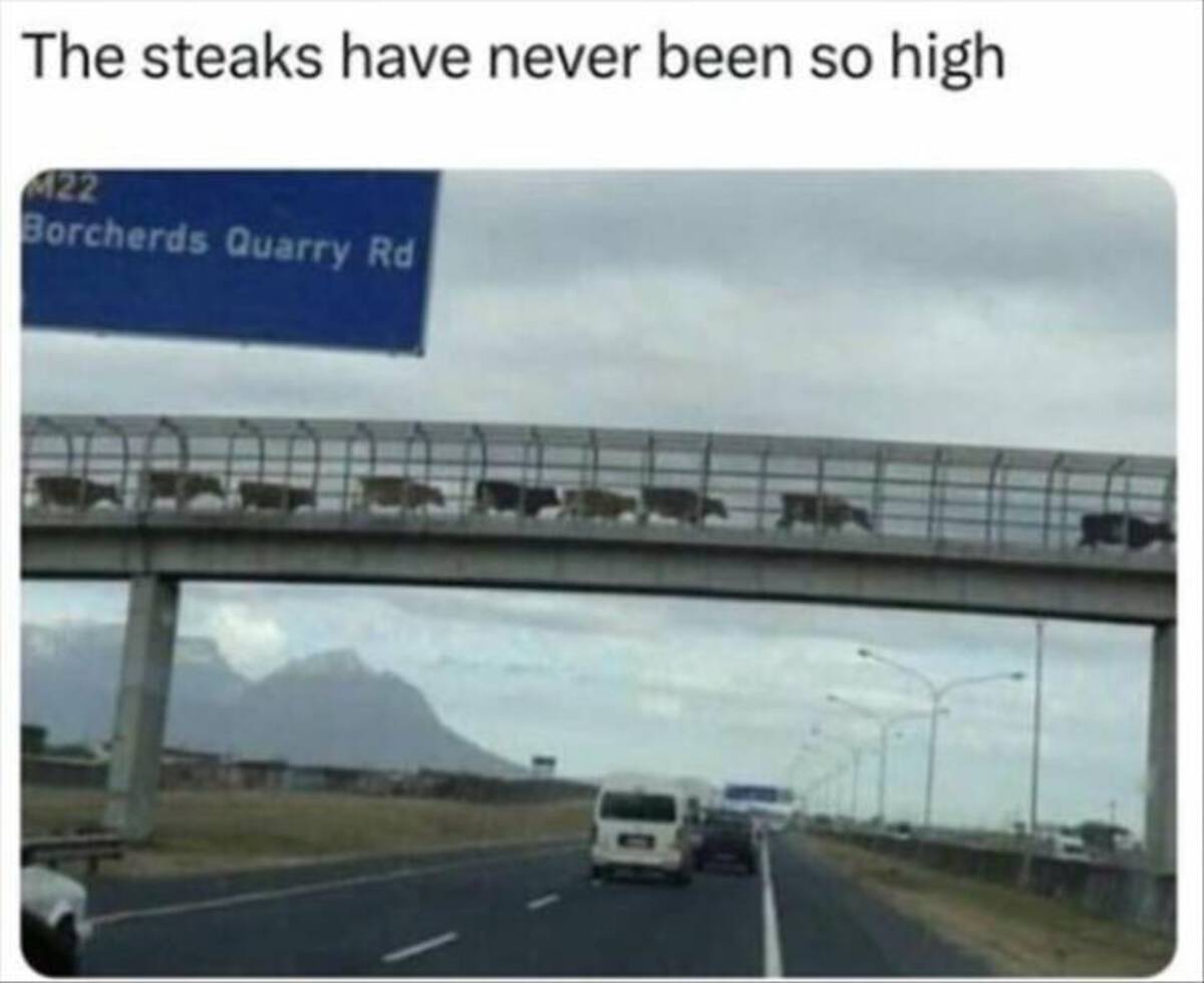 steaks are high meme - The steaks have never been so high 422 Borcherds Quarry Rd
