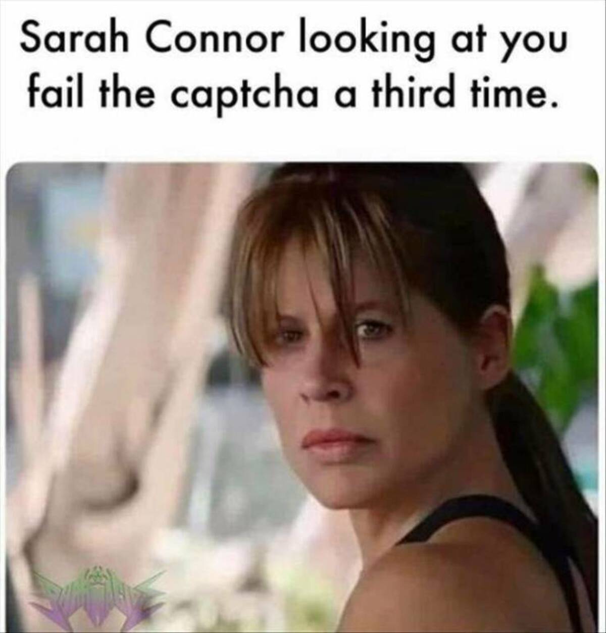 sarah meme - Sarah Connor looking at you fail the captcha a third time.