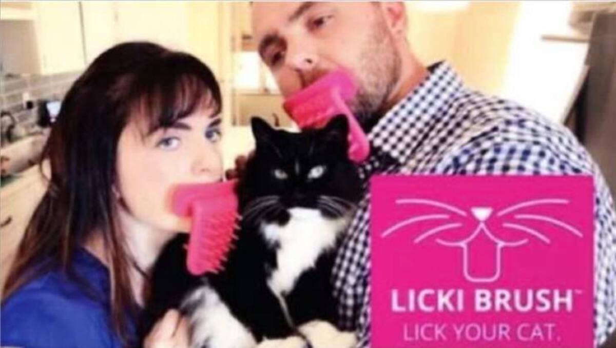 lick your cat - Licki Brush Lick Your Cat