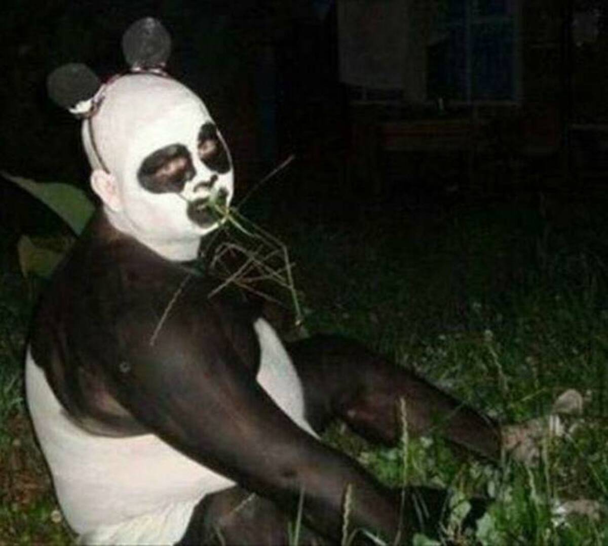 man dressed as panda