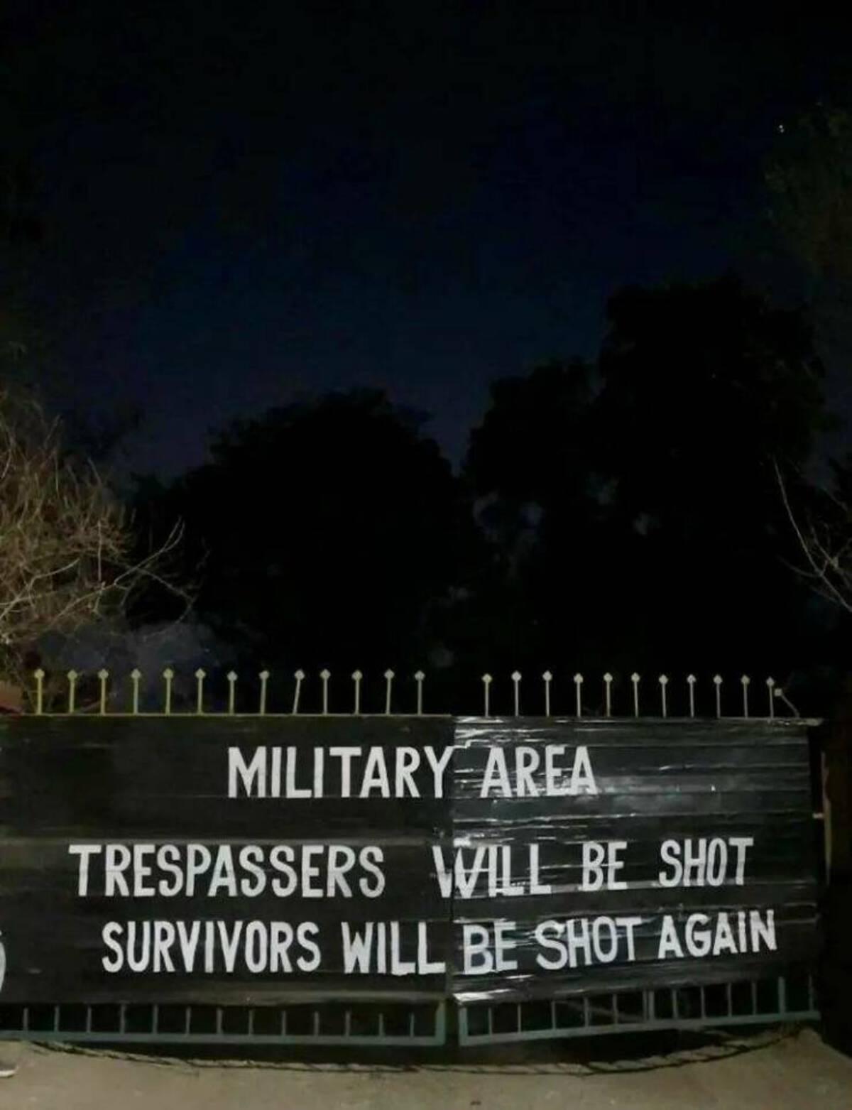 tree - Military Area Trespassers Will Be Shot Survivors Will Be Shot Again