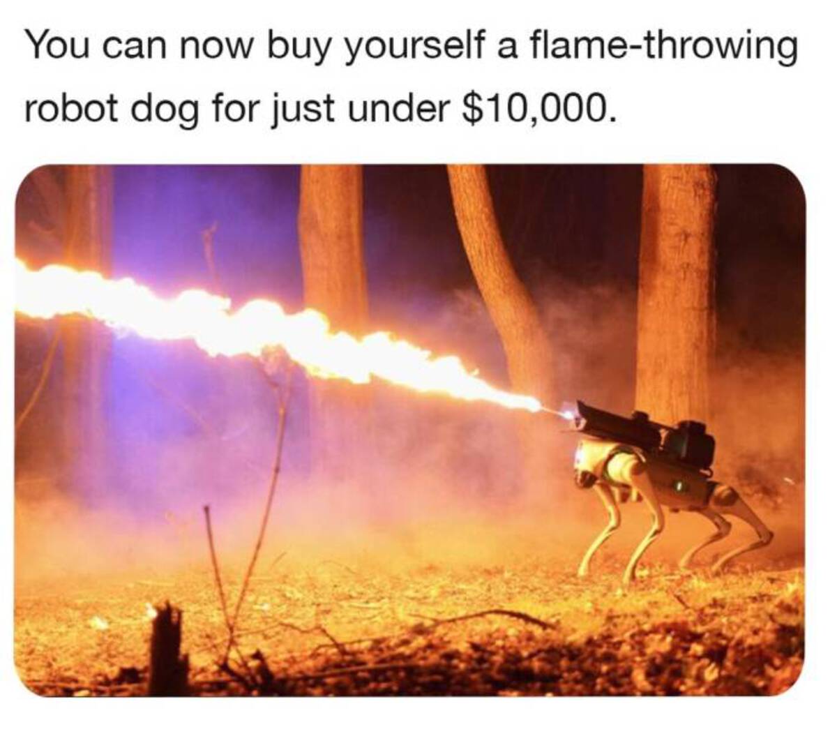 Robot - You can now buy yourself a flamethrowing robot dog for just under $10,000.