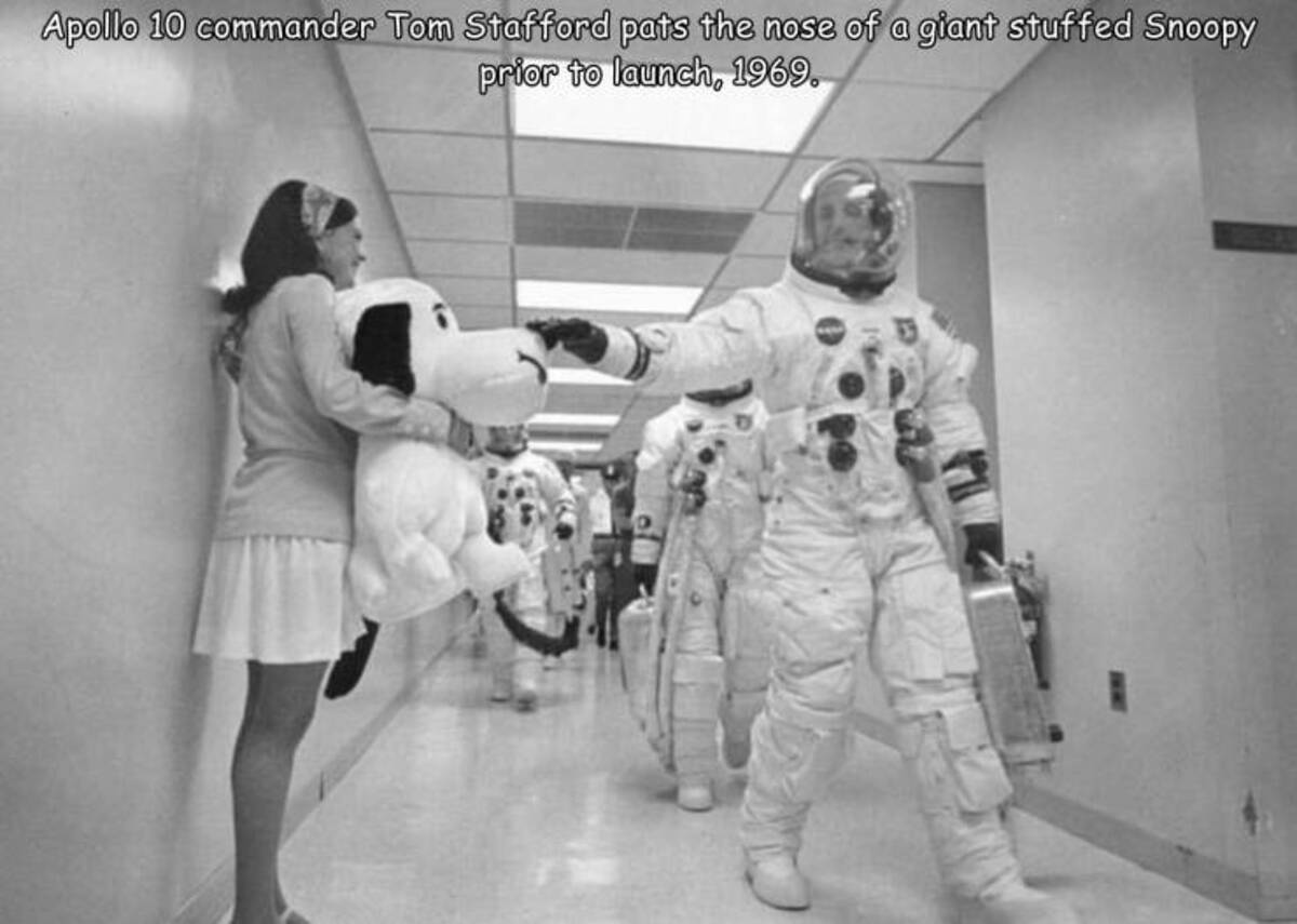 tom stafford - Apollo 10 commander Tom Stafford pats the nose of a giant stuffed Snoopy prior to launch, 1969.