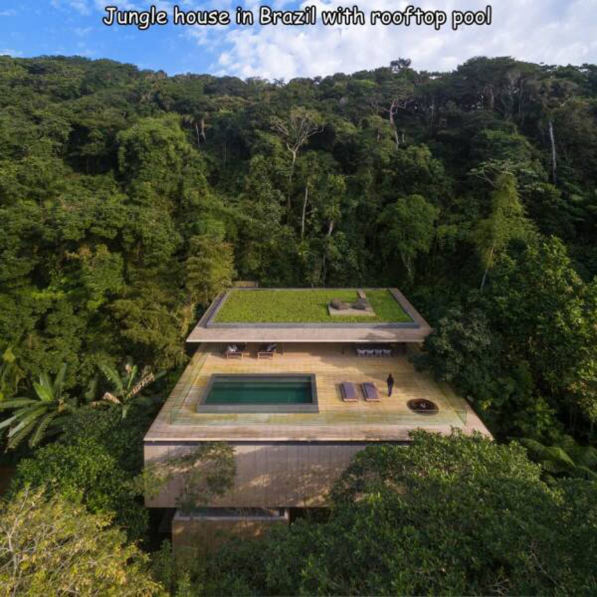 jungle side house - Jungle house in Brazil with rooftop pool