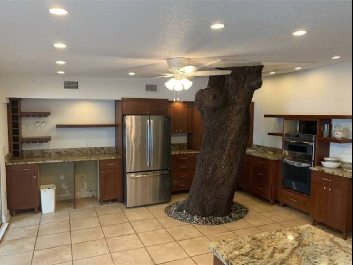 tree growing through house