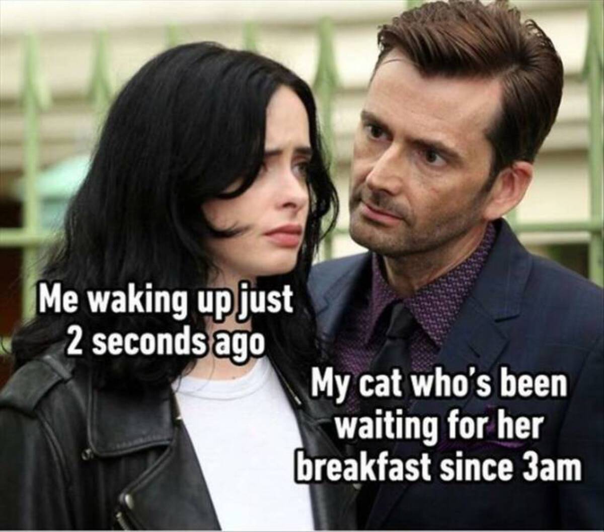 david tennant staring meme - Me waking up just 2 seconds ago My cat who's been waiting for her breakfast since 3am