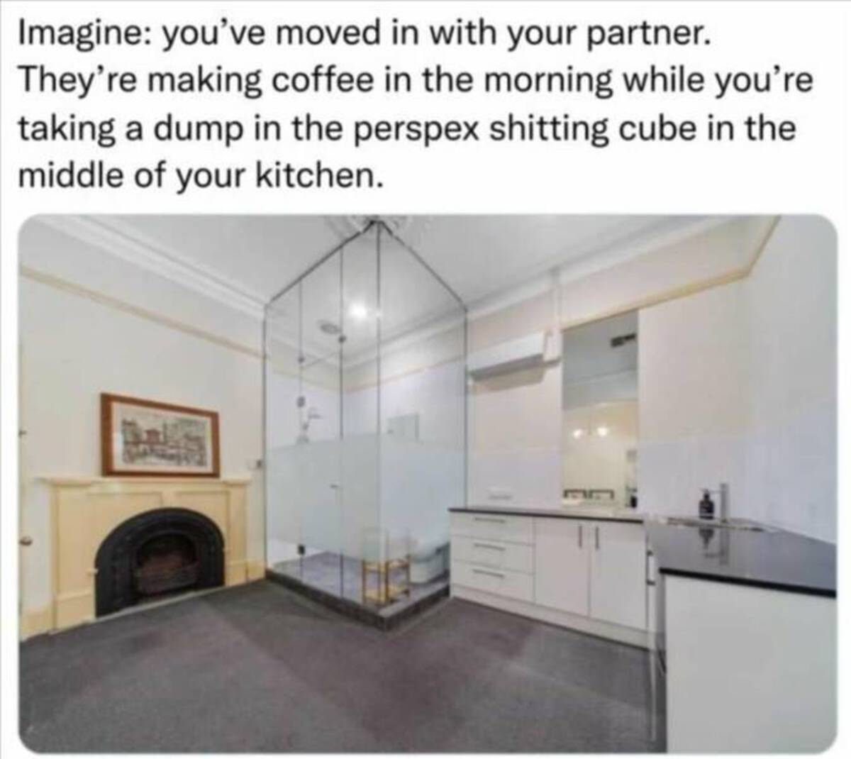 Apartment - Imagine you've moved in with your partner. They're making coffee in the morning while you're taking a dump in the perspex shitting cube in the middle of your kitchen.