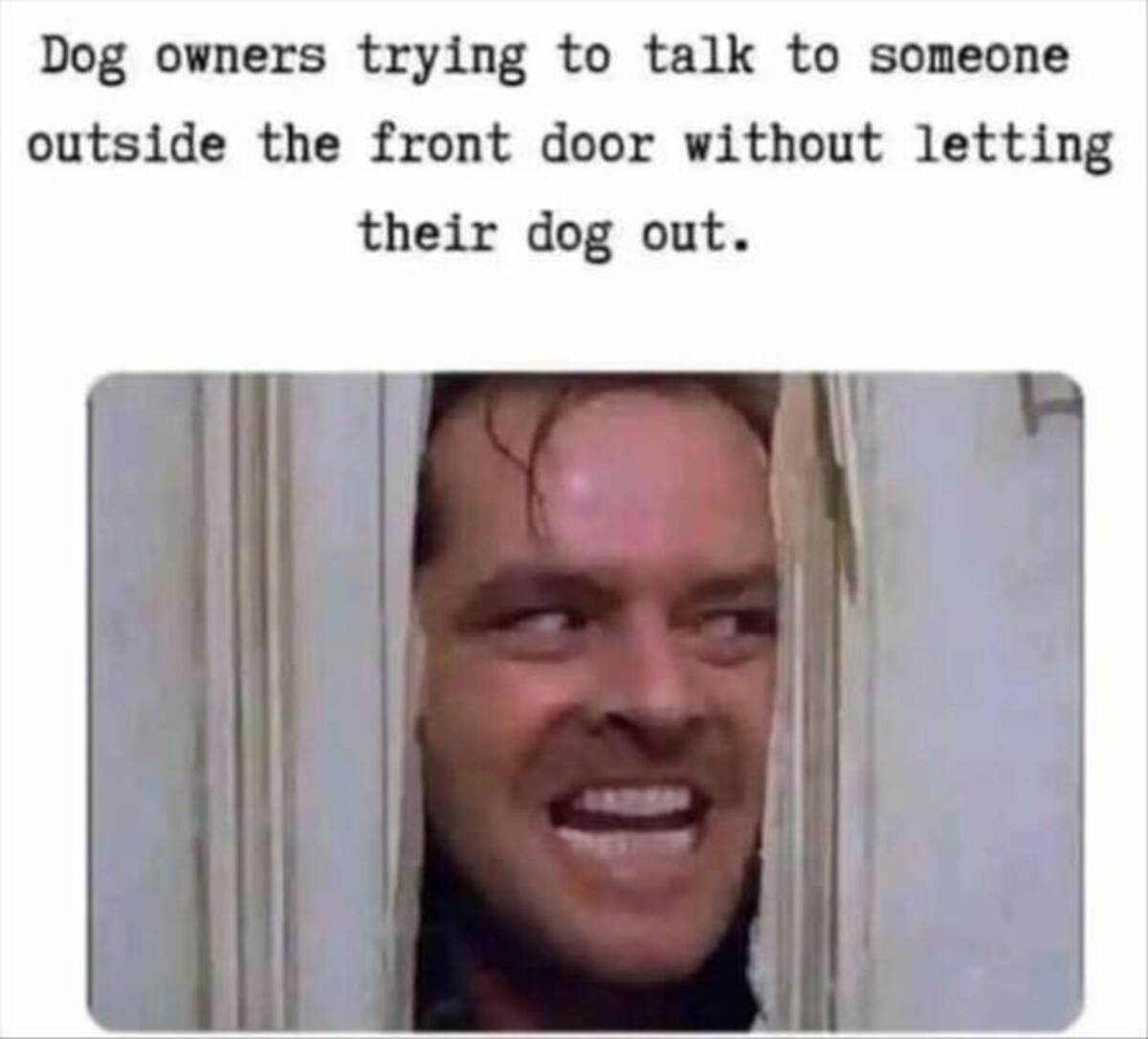 photo caption - Dog owners trying to talk to someone outside the front door without letting their dog out.