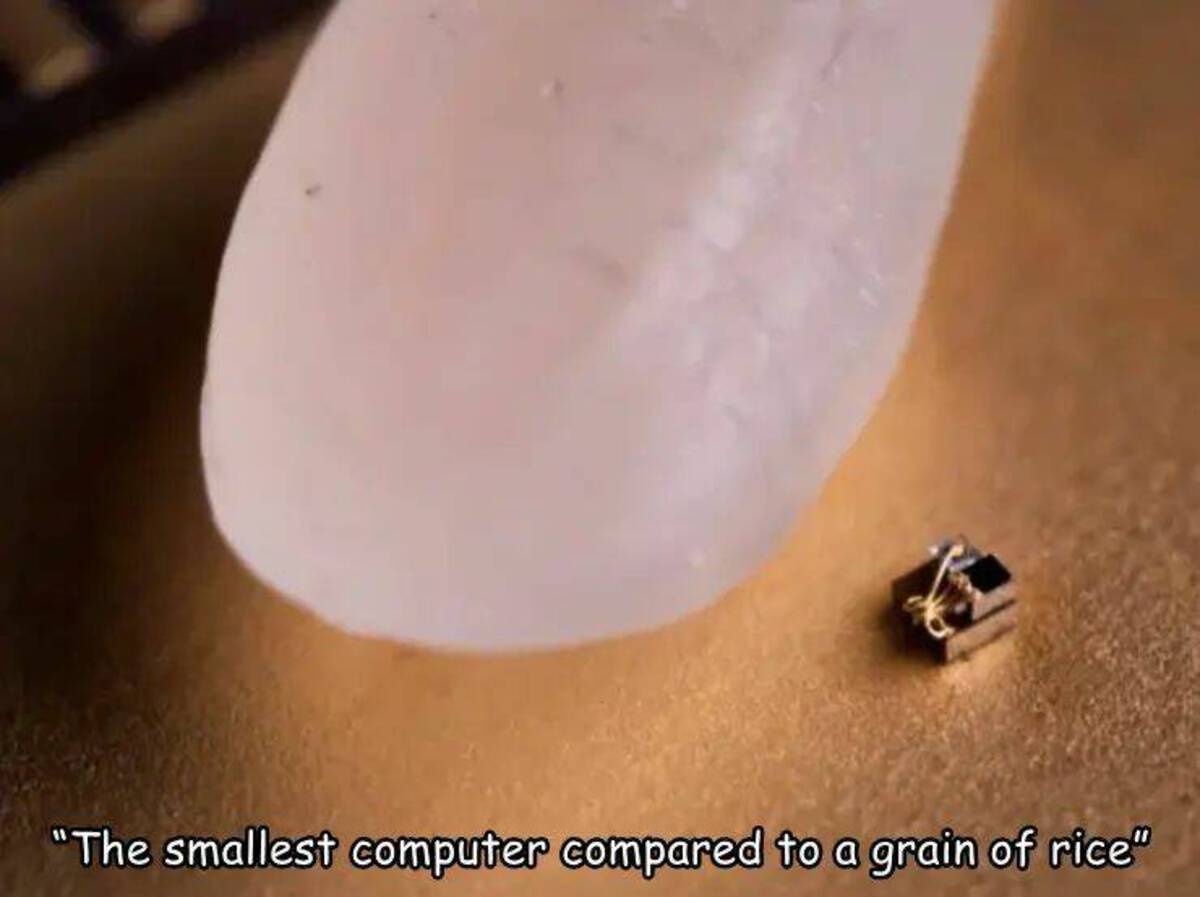 grain of rice vs world's smallest computer - "The smallest computer compared to a grain of rice"
