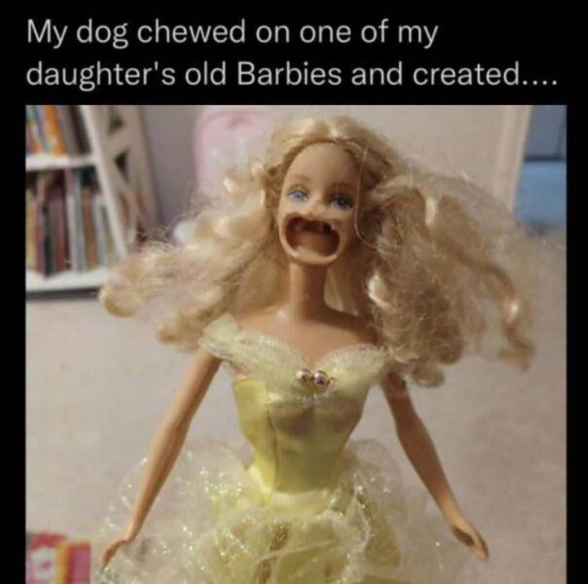 meme barbie doll - My dog chewed on one of my daughter's old Barbies and created....