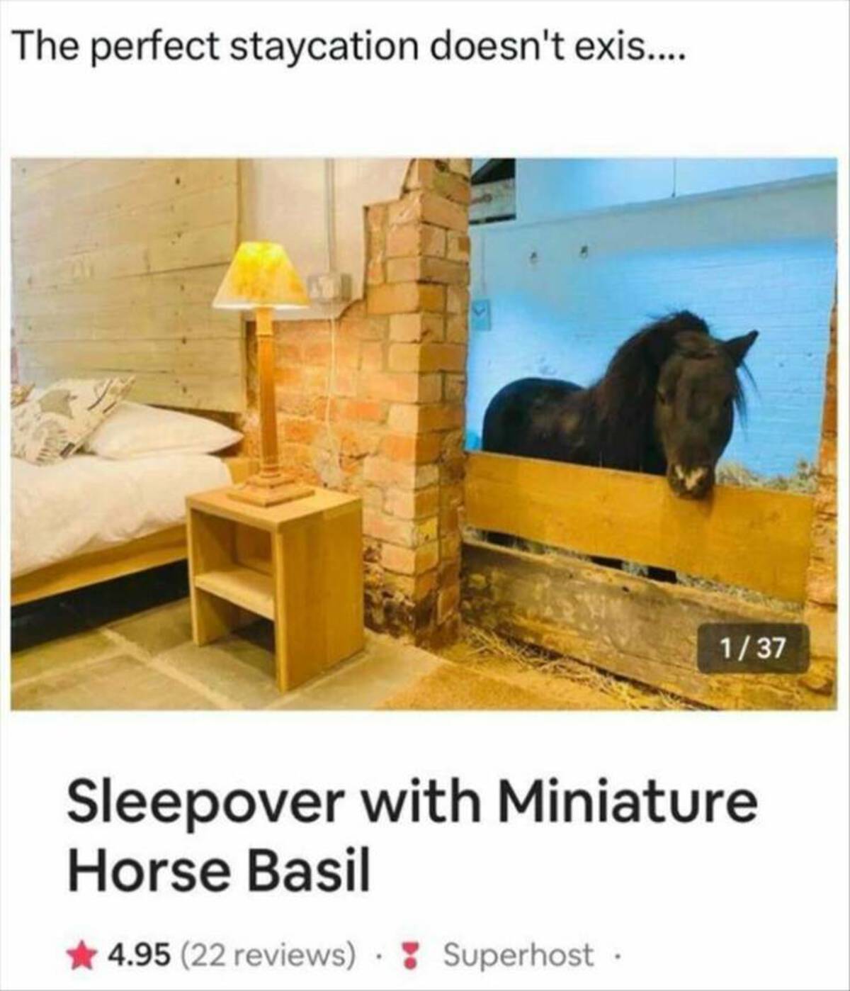 sleepover with miniature horse basil - The perfect staycation doesn't exis.... 137 Sleepover with Miniature Horse Basil 4.95 22 reviews Superhost