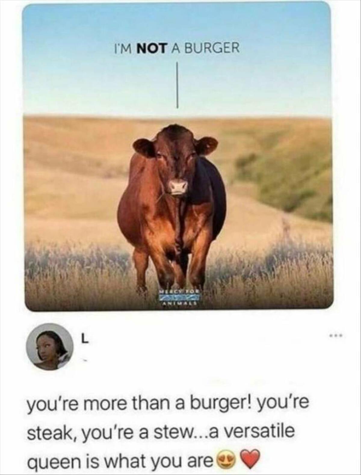 i m not a burger meme - L I'M Not A Burger you're more than a burger! you're steak, you're a stew...a versatile queen is what you are
