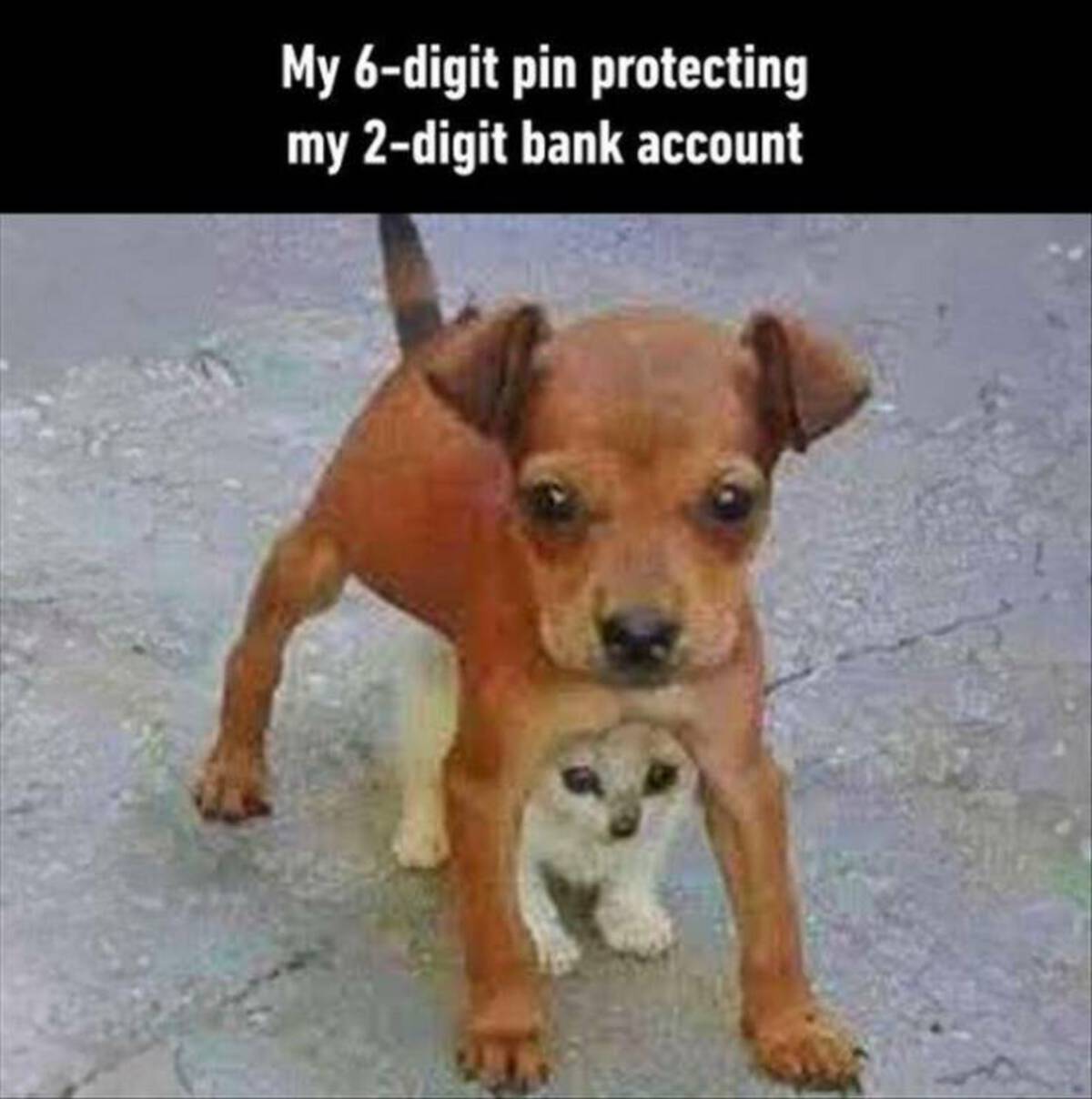 9GAG - My 6digit pin protecting my 2digit bank account