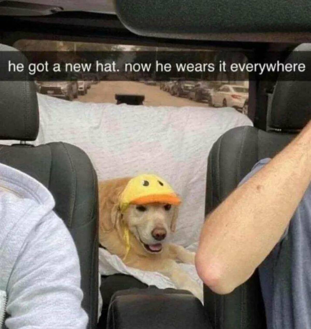 car seat - he got a new hat. now he wears it everywhere