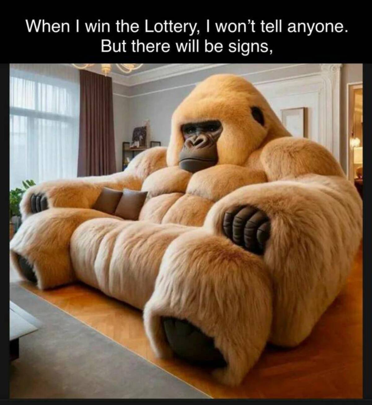 gorilla couch - When I win the Lottery, I won't tell anyone. But there will be signs,