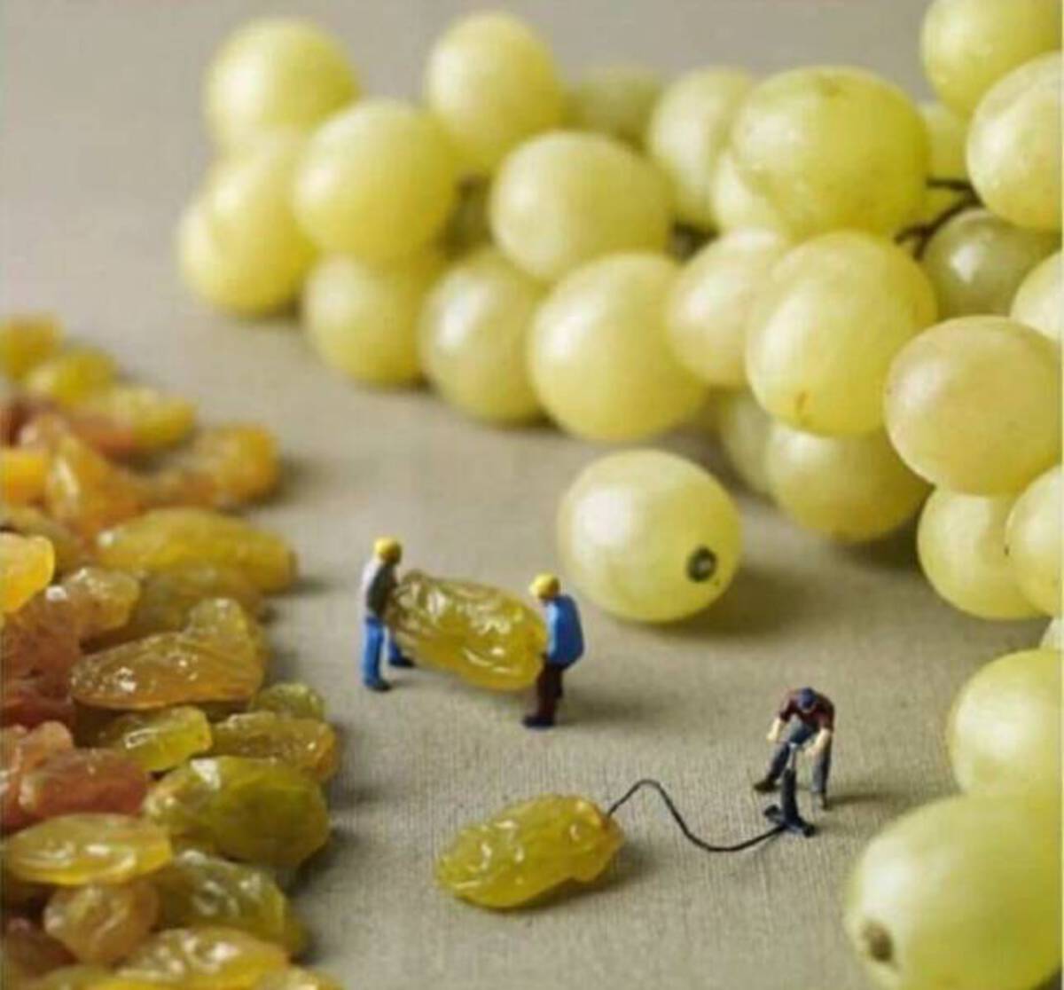 grapes made