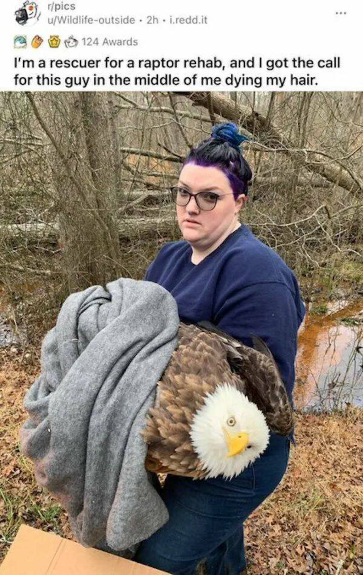 Internet meme - rpics uWildlifeoutside. 2h. i.redd.it 124 Awards I'm a rescuer for a raptor rehab, and I got the call for this guy in the middle of me dying my hair.