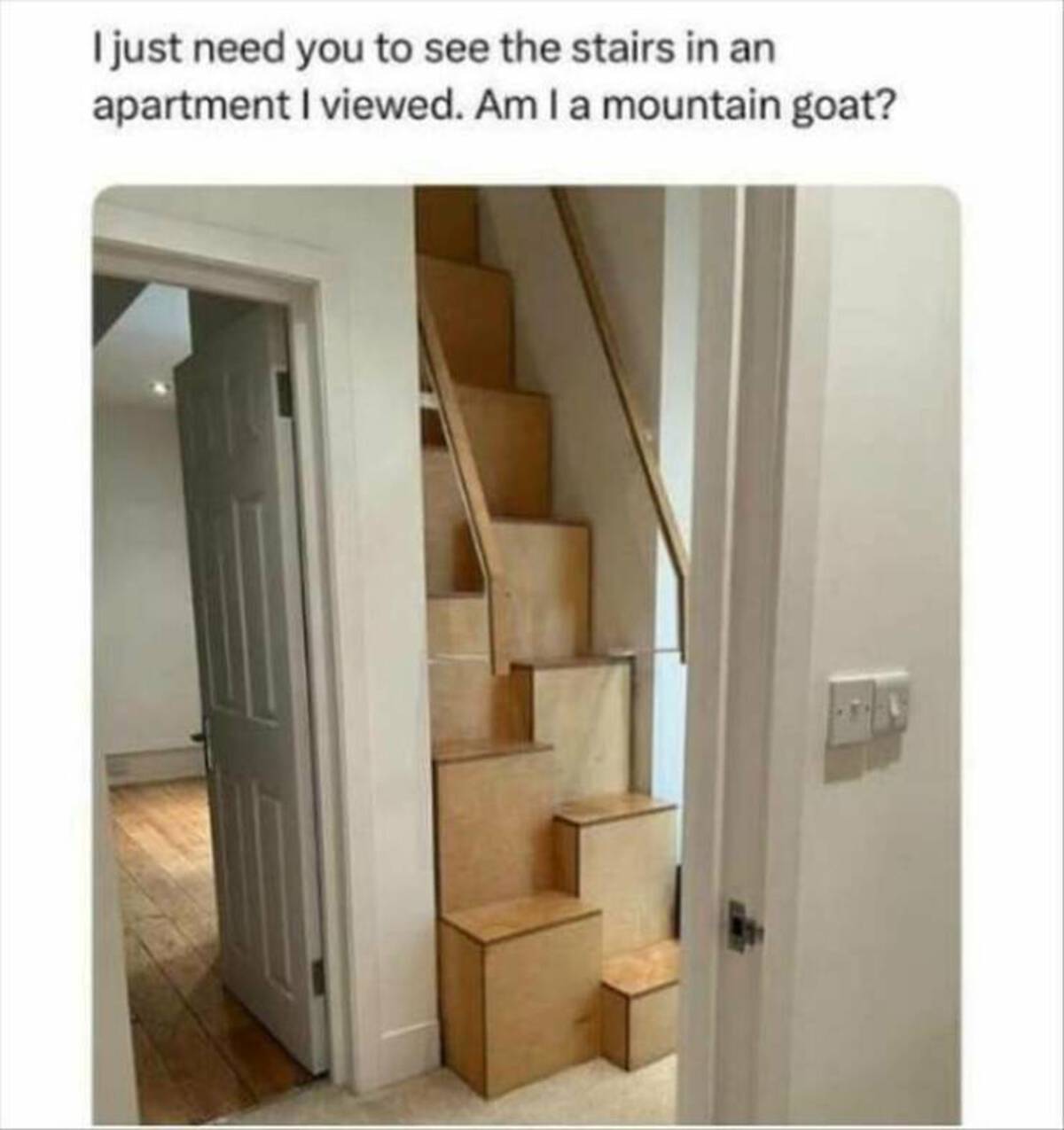 I just need you to see the stairs in an apartment I viewed. Am I a mountain goat?