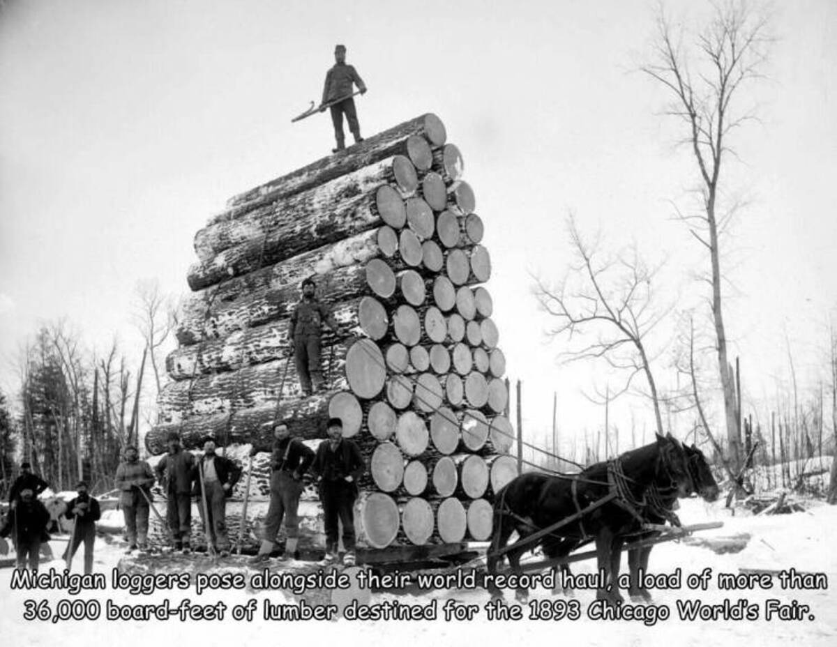 horses logging - Michigan loggers pose alongside their world record haul, a load of more than 36,000 boardfeet of lumber destined for the 1893 Chicago World's Fair.