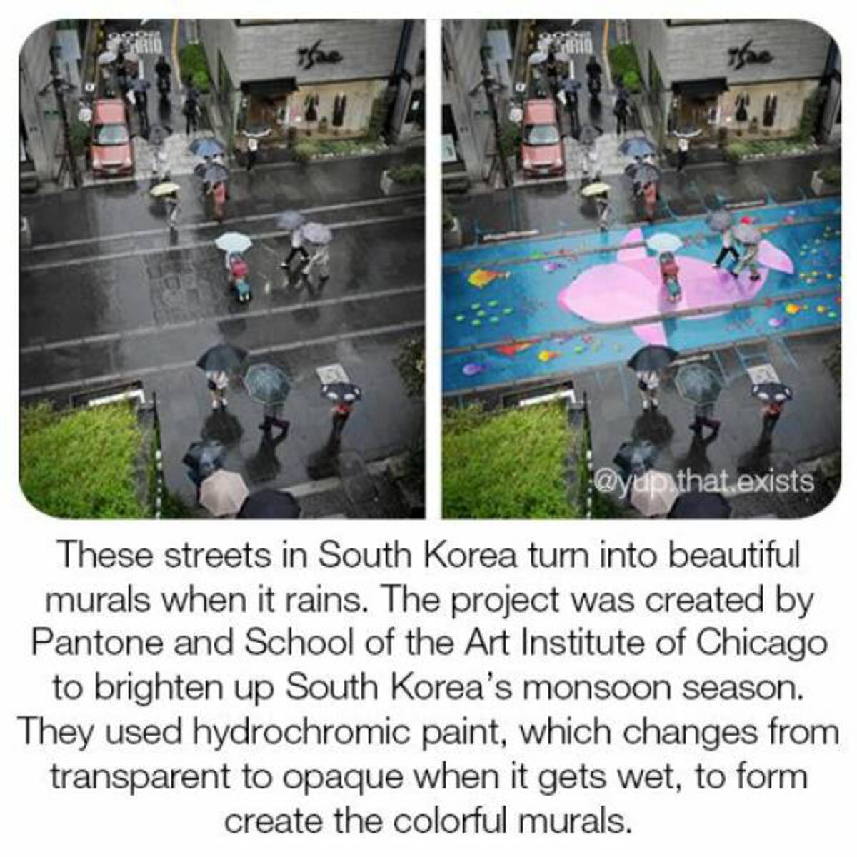 hydrochromic paint south korea - that.exists These streets in South Korea turn into beautiful murals when it rains. The project was created by Pantone and School of the Art Institute of Chicago to brighten up South Korea's monsoon season. They used hydroc