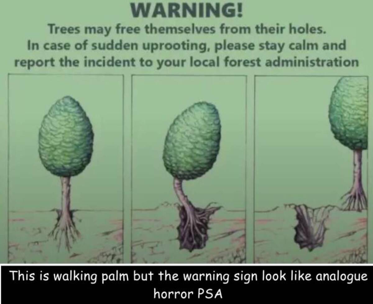 trees may free themselves - Warning! Trees may free themselves from their holes. In case of sudden uprooting, please stay calm and report the incident to your local forest administration This is walking palm but the warning sign look analogue horror Psa